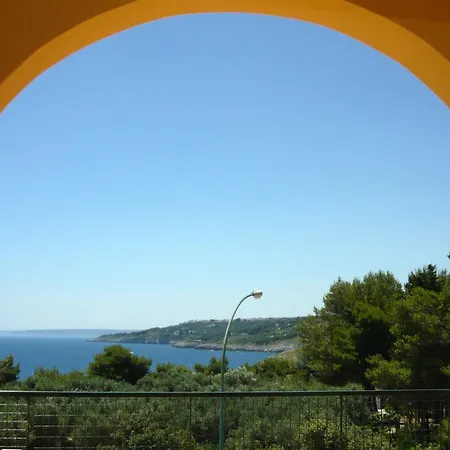 Francis1 Super Vista Mare